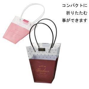 ケー・イー・アイ プレゼントパッケージM【2019新作】 (4396-B-RD)【入数:5】