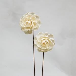 アプラス ソラフラワー ステム ROSE B ナチュラルタイプ (Z-0263)