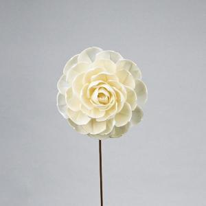 アプラス ソラフラワー ステム ROSE B ナチュラルタイプ (Z-0264)