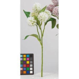 ASCA アスカ A?34528 アザミ×5 (72-34528-1)