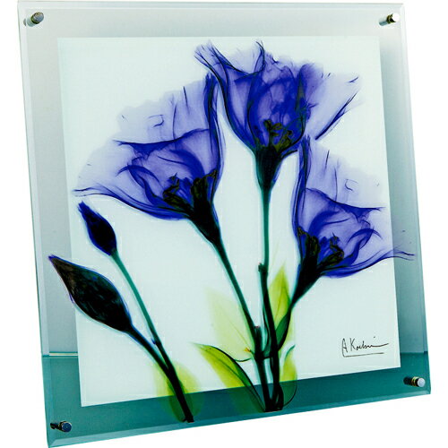 ユーパワー X RAY ガラス アート「ジェンティアン（Mサイズ）」【XR-05008】