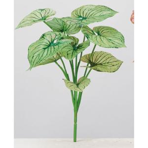 ASCA アスカ A-44160 カラジュームピック (72-44160-151)