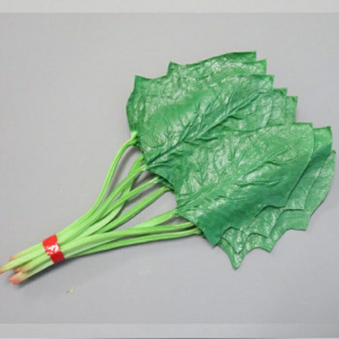 イワイサンプル 日本職人が作る 食品サンプル ほうれん草 IP-250 (1863317)