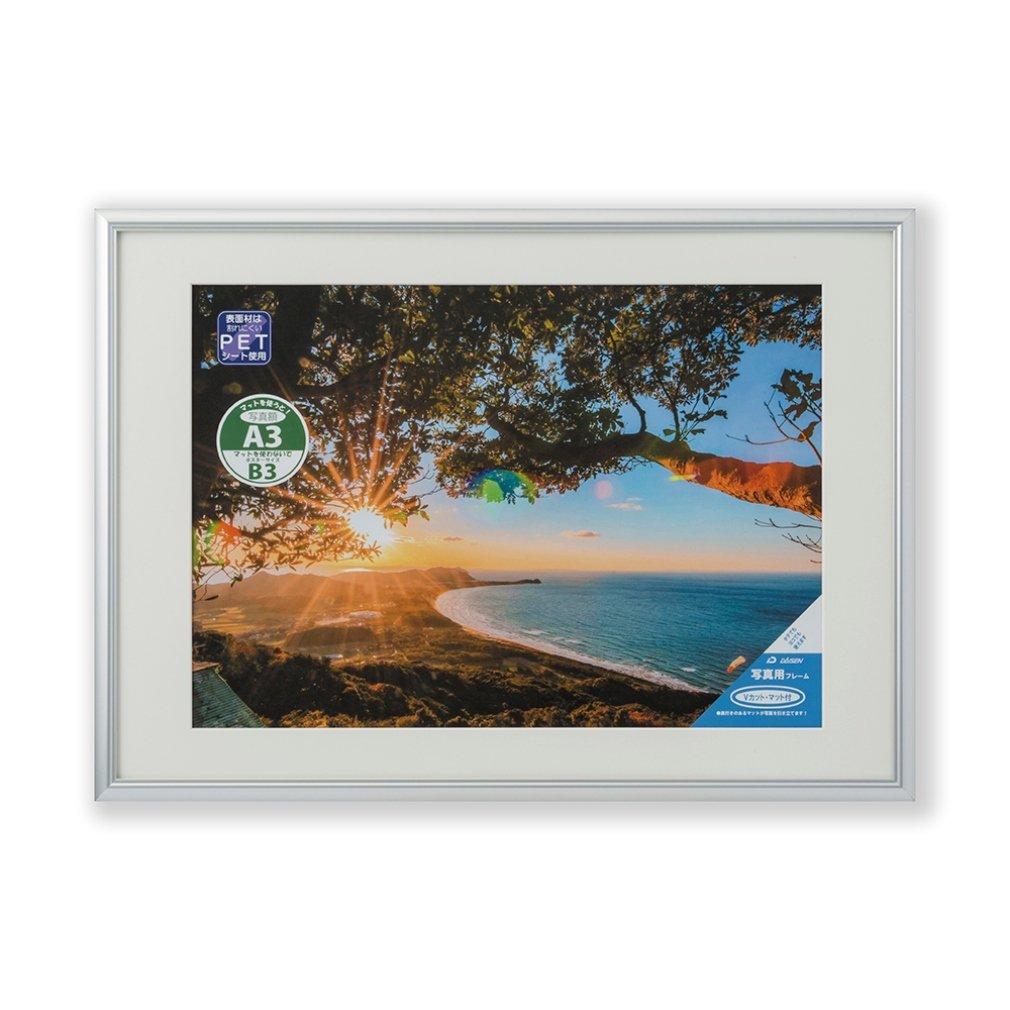 大仙 写真額 ネオス A3 シルバー 33C091D4000 (1139046)