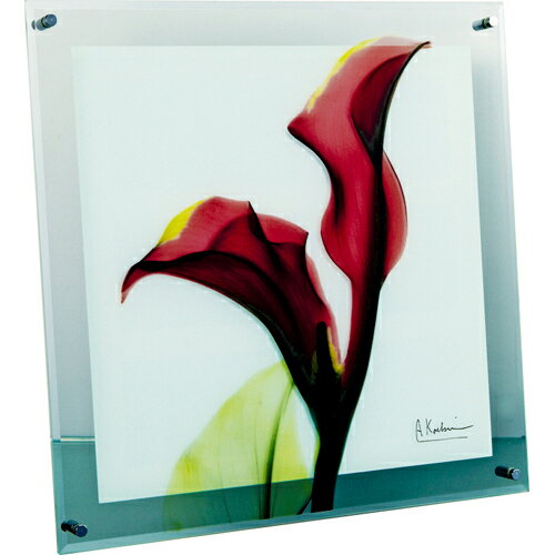 ユーパワー X RAY ガラス アート「カラー レッド（Mサイズ）」【XR-05005】