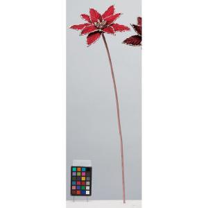 アスカ(Asca) AX60412 ジュエルラインポインセチア (72-60412-2)