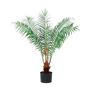 ASCA アスカ A-51080 ファーンツリー(ポット付) (72-51080-151)