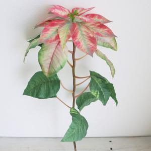 ASCA アスカ AX60397 ポインセチア (72-60397-22)