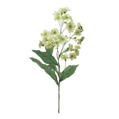 &nbsp;メーカー&nbsp;ASCA アスカ&nbsp;商品カテゴリ&nbsp;フラワー・観葉植物＞造花&nbsp;発送目安&nbsp;2日〜3日以内に発送予定（土日祝除）&nbsp;お支払方法&nbsp;銀行振込・クレジットカード&nbsp;送料&nbsp;送料無料&nbsp;特記事項&nbsp;&nbsp;その他&nbsp;