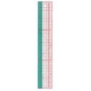 クロバー(Clover) クロバー 方眼定規 30cm 25-053 (1306875)