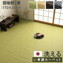 イケヒコ ラグ カーペット バルカン 団地間3畳 約170×255cm グリーン 日本製 洗える #2150033