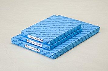 ゴークラ 雪だるま画学紙 4切 #165 100枚　(Y-1654)