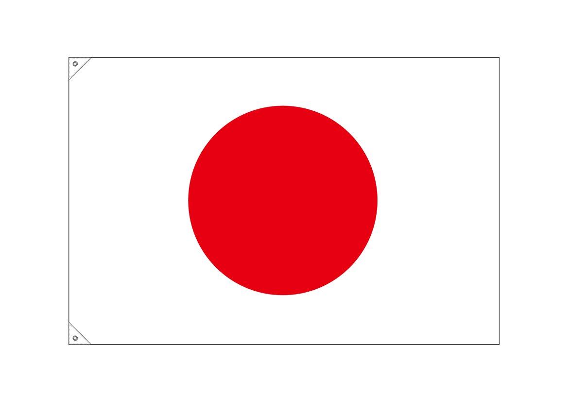 NOBORIYA のぼり屋 N国旗(販促用) 23690 日本 大