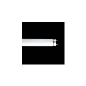 ブライトライト Hf形直管蛍光ラン プFHF32EX-N昼白色10本入 FHF32EX-N