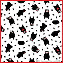 東レ トレシー くまモン 19×19cm A1919P-KUMAMON P162 白 (1636668)