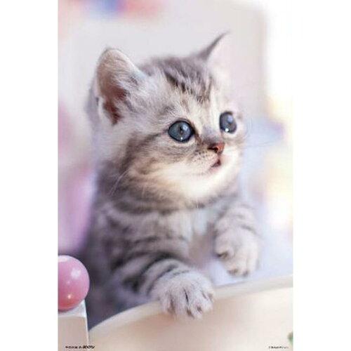 ビバリー ペットジグソーパズル おはよ 300ピース 300-034 (2176309)