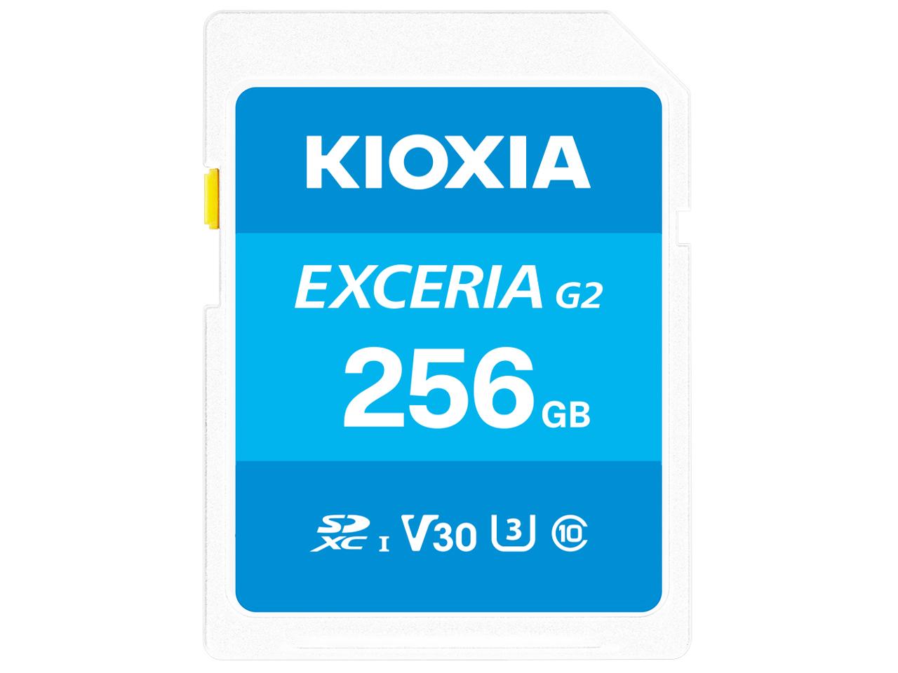 KIOXIA キオクシア LNEX2L256GG4