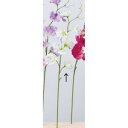 アスカ(Asca) スイトピー×7【価格変更】 (A-34346017W)【入数:24】