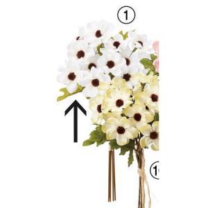 ASCA ������ ���ͥ�ͥХ��(1«5��) �ۥ磻�� (A-34730001)������:12��