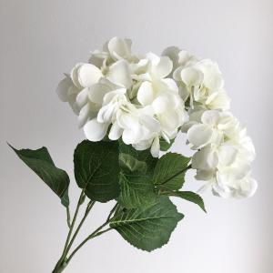 ASCA ������ �ϥ��ɥ�󥸥��֥å���X3 �ۥ磻�� (A-34723001)