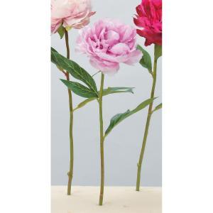 ASCA ������ �ԥ��ˡ� (A-32373007)