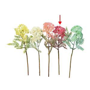 アスカ(Asca) ノコギリソウ (A-34135026)