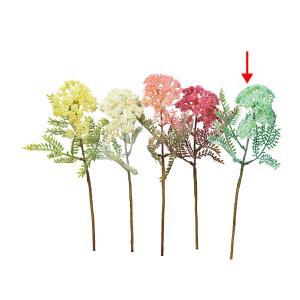 アスカ(Asca) ノコギリソウ (A-34135059S)