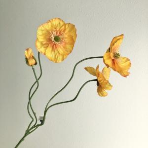 ASCA アスカ ポピー×3 つぼみ×1 (A-34384040Y)