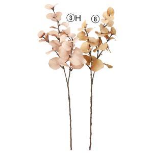 ASCA アスカ ユーカリスプレー ベージュ (A-44100008)