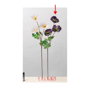 ASCA ������ �ݥԡ���3 (A-34113007G)