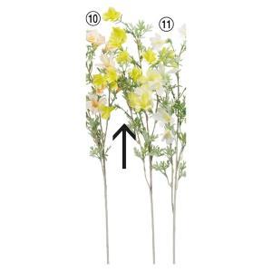 アスカ(Asca) A-34733 カンパニュラX15 (72-34733-10)