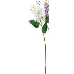 &nbsp;メーカー&nbsp;ASCA アスカ&nbsp;商品カテゴリ&nbsp;フラワー・観葉植物＞造花&nbsp;発送目安&nbsp;2日〜3日以内に発送予定（土日祝除）&nbsp;お支払方法&nbsp;銀行振込・クレジットカード&n...