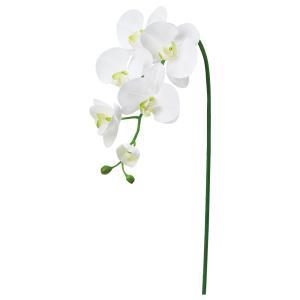 ASCA アスカ A?34873 コチョウランX5 つぼみX3 (72-34873-52)