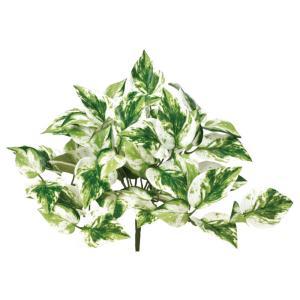 アスカ(Asca) A?44372 ポトスブッシュ (72-44372-151)