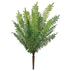 ASCA アスカ A-44460 ファーンブッシュ (72-44460-151)