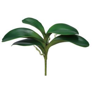 ASCA アスカ A?44481 オーキッドリーフ (72-44481-151)