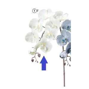 ASCA アスカ A-34795 コチョウランX7 つぼみX5 (72-34795-101)