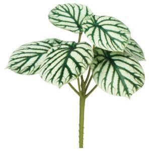 &nbsp;メーカー&nbsp;ASCA アスカ&nbsp;商品カテゴリ&nbsp;フラワー・観葉植物＞造花&nbsp;発送目安&nbsp;2日〜3日以内に発送予定（土日祝除）&nbsp;お支払方法&nbsp;銀行振込・クレジットカード&nbsp;送料&nbsp;送料無料&nbsp;特記事項&nbsp;&nbsp;その他&nbsp;