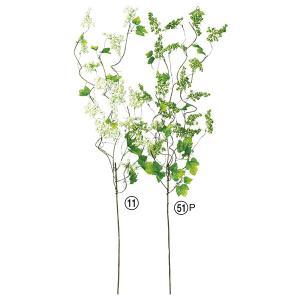 アスカ(Asca) ベリースプレー (A-47686011)