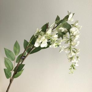 アスカ(Asca) ウィステリアX2 (A-32841011)