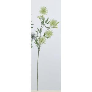 アスカ(Asca) アザミx4 (A-33576051F)