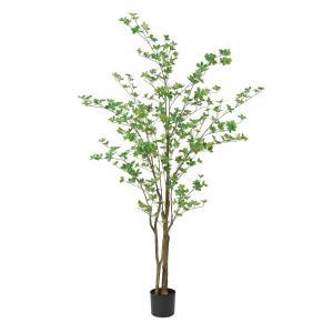 アスカ(Asca) ドウダン(ポット付)【造花観葉樹】 (A-50994051A)