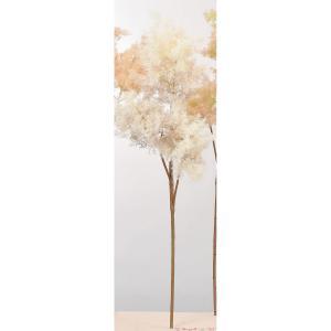 アスカ(Asca) スモークツリー (A-43624008)