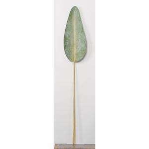 ASCA アスカ ストレチアリーフ (A-43736051A)