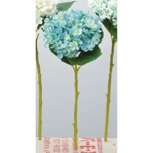 アスカ(Asca) ハイドランジア (A-34116009)