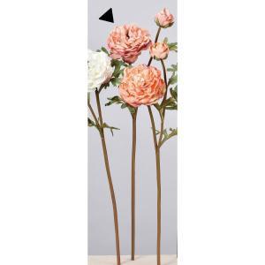 ASCA アスカ ラナンキュラスX1 つぼみX1 (A-34215003)