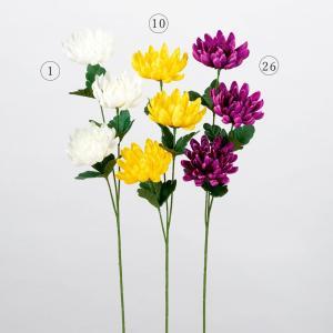 Rakuten - ASCA アスカ 菊 X 3 (A-34268026)