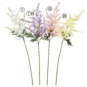 ASCA アスカ アスチルベ (A-34365001)