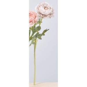 ASCA アスカ ラナンキュラス (A-34397063L)