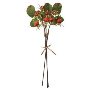 ASCA アスカ ローズヒップバンチ(1束3本) (A-47960002)